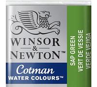 Winsor & Newton Cotman Aquarelle 1/2 Godet Vert De Vessie