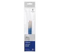 Winsor & Newton Cotman Pinceau Aquarelle Manche Court X3 Pack 1