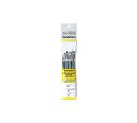 Assortiment 6 Brosses Manche Court Rond N°3 Et 6 / Usé Bombé N°3 Et 6 / Plat N°10 Et 14 - Winsor Et Newton