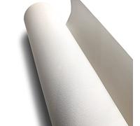 WINSOR & NEWTON PAPIER AQUARELLE PROFESSIONNELLE ROULEAU GRAIN FIN 300G 140X1000CM