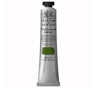Winsor & Newton Professional Acrylique Tube 200ml 503 Vert de Vessie Permanent