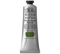 Winsor & Newton Professional Acrylique en tube 60 ml – 503 Vert de Vessie Permanent