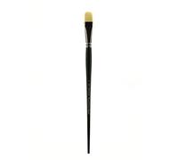 Winsor & Newton Winton Brosse Plate Courte Manche Long N°10