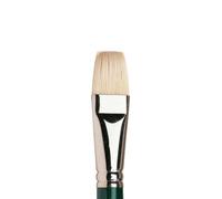 Winsor & Newton Winton Brosse Plate Courte Manche Long N°12