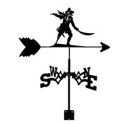 WIQUYBML Girouette en métal pour extérieur, en Fer, pour Jardin, indicateur de Direction en Acier Inoxydable, Outil de Mesure Black Fighter