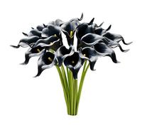 Wisafory Lot de 10 fleurs artificielles artificielles en latex réaliste - Lys calla - Bouquet de mariée - Arum artificiel - Toucher réel - Décoration pour mariage, salon, bureau, hôtel, cuisine - Noir