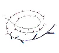WiZ Ruban de lumière Fairy Light 20 m 160 LED RGBIC