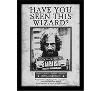 Wizarding World FP10611P-PL Affiche Encadrée, Multicolore, 30 x 40 cm
