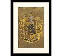 Wizarding World Harry Potter (Hufflepuff Crest) 30 x 40 cm Objet Souvenir
