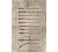 Wizarding World Poster Harry Potter - La baguette choisit le magicien - Multicolore - 61 x 91,5 cm