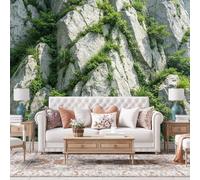 WLLDDDIU Fresque de Papier Peint Autocollant Panoramique 3D pour Salon, Plantes de Falaise Naturelles Paysage Amovible en Papier Peint Autocollant Imperméable en Vinyle 240×160Cm (94×63 Pouces)