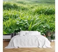WLLDDDIU Fresque Murale Panoramique Autocollante 3D, Jardin Paysager en Herbe Vert Pluvieuse Murale Murale Autocollante Vinyle Amovible Imperméable pour Chambre et Salon Décoration Murale 280×180