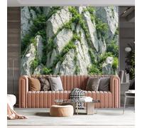 WLLDDDIU Murale Murale Panoramique 3D de Plantes Naturelles Sur Falaises, Papier Peint Vinyle Autoadhésif Imperméable, Décoration Murale Amovible pour Salon Canapé de Chambre Fond Tv 240×160Cm