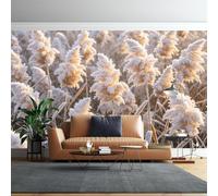 WLLDDDIU Papier Peint Panoramique Autocollant 3D pour Salon, Grand Mur en Herbe de Pampas Murale Murale Moule Vinyle Autocollant Imperméable pour Meubles Rebord de Fenêtre 392X280Cm (154X110Inch)