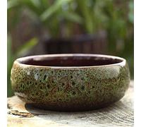 Wlnnes Bonsaï en Pot Micro Paysage - Pot en Céramique Coréenne Créative Grande Calibre pour Bonsaï