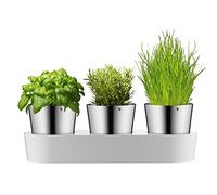 WMF Pot d'herbes gastronomiques avec système d'irrigation en 3 parties, jardin d'herbes aromatiques pour la cuisine, 36x 12,5x 12,5 cm, pour herbes de cuisine fraîches, blanc