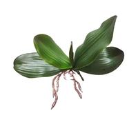 Wmqbjta Feuille d'Orchidée Artificielle Ensemble de Feuilles Vertes Imitation Stand de Feuilles Faux Plantes Artificielles Pottées sans Entretien Apparence