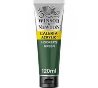 WN ACRYLIQUE GALERIA 120ML VERT DE HOOKER