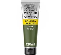 WN ACRYLIQUE GALERIA 120ML VERT OLIVE