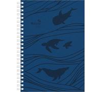 Wochenplaner Ocean Ringbuch 2027: Buchkalender A5 (15x21 cm) - Wochenplaner mit 4-sprachigem Kalendarium, Monatsübersicht & Notizbereich, für Beruf, Schule & Alltag