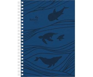 Wochenplaner Ocean Ringbuch 2027: Buchkalender A5 (15x21 cm) - Wochenplaner mit 4-sprachigem Kalendarium, Monatsübersicht & Notizbereich, für Beruf, Schule & Alltag