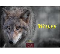 Wölfe Kalender 2027 - Wandkalender | Fotokalender Tierkalender 24x35cm - . mit faszinierenden Wolf-Motiven,