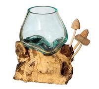 Wogeka - Vase design en verre avec champignons sur bois de racine - Vase à fleurs ou verre décoratif comme idée cadeau pour un anniversaire, Noël