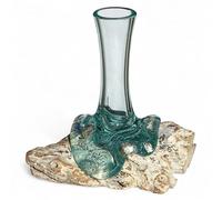 Wogeka - White Line Collection - Vase classique en bois racinaire de gamal - dans un style moderne en bois comme idée de cadeau pour Noël, décoration d'anniversaire (Classic 20 W)