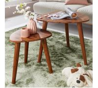 WOHNLING Tables Gigognes Lot de 2 Sheesham Massif Rustique Table Basse