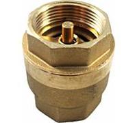 clapet anti-retour Wolf IG 2000 2000 /4" PN10 2071457 pour LS, SLS, FWS