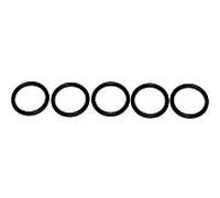 Wolf joint moniteur de température d'échappement 8603033 pour CGB, lot de 5 pièces