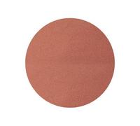 Wolfcraft Disques abrasifs auto-agrippants corindon ø 125 mm - 2213100