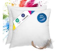 wometo Lot de 2 Coussins en Plumes, 100% Plumes, 55 x 55 à 750 g, oekoTex, Housse d'oreiller et Coussin d'intérieur, Coton Blanc