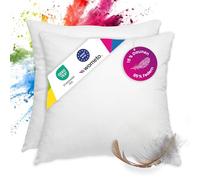 wometo Premium-Line OekoTex Lot de 2 oreillers Plumes & Duvet - 90% Plumes 10% Duvet 50x50 cm avec 600 g de garnissage Housse Coton Blanc