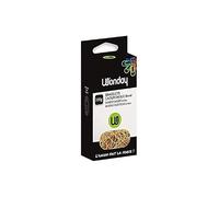 WONDAY Lot de 3 Boites de 100g bracelets caoutchouc élastique 200 mm blond