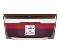 Bougie parfumée WoodWick Trilogy Sun Ripened Berries avec mèche en bois 453,6 g