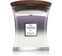 WoodWick Bougie parfumée Trilogy Amethyst Sky mèche en bois 275 g