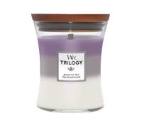 WoodWick Trilogy Candle Amethyst Sky Medium