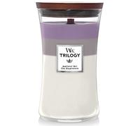 WoodWick – Bougie parfumée grande jarre Trilogy Amethyst Sky – Mèche en bois 609.5 g