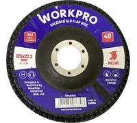 WorkPro WP407521 Disque à surfacer à lamelles Diamètre 125 mm 10 pc(s)