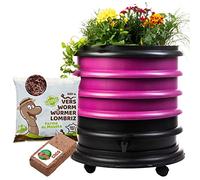 WORMbox | Lombricomposteur 3 Plateaux Framboise + Jardinière + 250gr de vers de Compost + 1 Bloc Coco | 48 litres | Compostez Vos déchets organiques, Les vers de Terre/lombrics/lombricompost