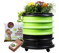 WORMbox | Lombricomposteur 3 Plateaux Vert Anis + Jardinière + 250gr de vers de Compost + 1 Bloc Coco | 48 litres | Compostez Vos déchets organiques, Les vers de Terre/lombrics/lombricompost
