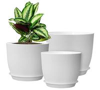 WOUSIWER Lot de 3 Pots de Fleurs décoratifs Modernes en Plastique avec Trous de Drainage et soucoupes, pour Plantes d'intérieur, Fleurs et Plantes d'intérieur, Blanc
