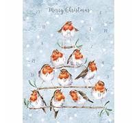 Wrendale Designs Rockin Robins Carte calendrier de l'Avent
