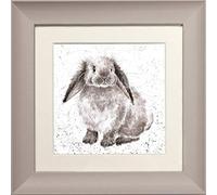 Wrendale Designs Rosie Lop Tableau encadré Motif Lapin à Oreilles - Taupe