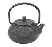Wresetly Théière en fer de style japonais avec passoire 50 ml