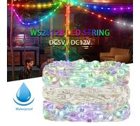 WS2812B RGBIC LED bande chaîne fil de cuivre WS2812 adressable individuellement fête mariage guirlande déco lumières de noël DC5V/12V