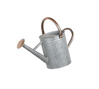 Wswqop Arrosoir Classique Récipient à Eau Pot pour Plantes Seau D'Arrosage avec Poignée Ergonomique en Acier et Conception Anti-Fuite Convient pour Le, 4 L