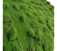 Wswqop Panneau de Verdure Décoratif Tapis de Lichen Artificiel Feuillage Synthétique Plaque de Mousse Imitation Texture Stratifiée Découpable Pliable pour, 1m X 2m, Style to 2