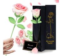 WuikerDuo Gehäkelte Blumen Geburtstag, Ewige Infinity Rosen für Familien, Mama, Freundin, Ehefrau Handgemachte Gestrickte Rosen Kunstpflanze Wohnzimmer Büro Auto Deko(Farbverlauf Rosa)
